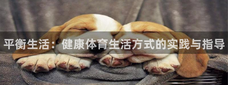 韩国篮球直播360
