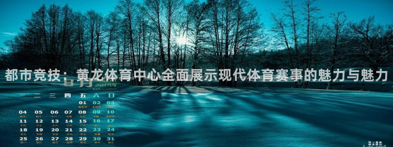 360网体育台