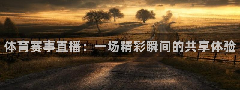 360篮球直播在线直播观看