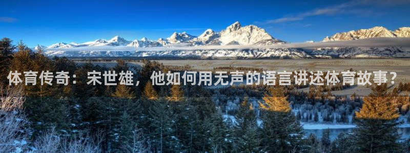 山东360体育直播在线观看