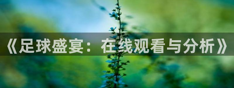 360官网app下载